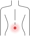 Ryg
